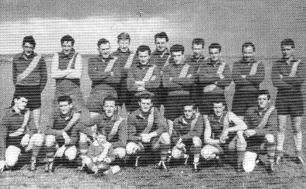 Our Club – North Shore Seagulls