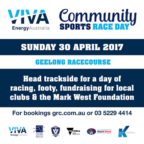 2017024 GRC Viva Energy Social Media Tile - small