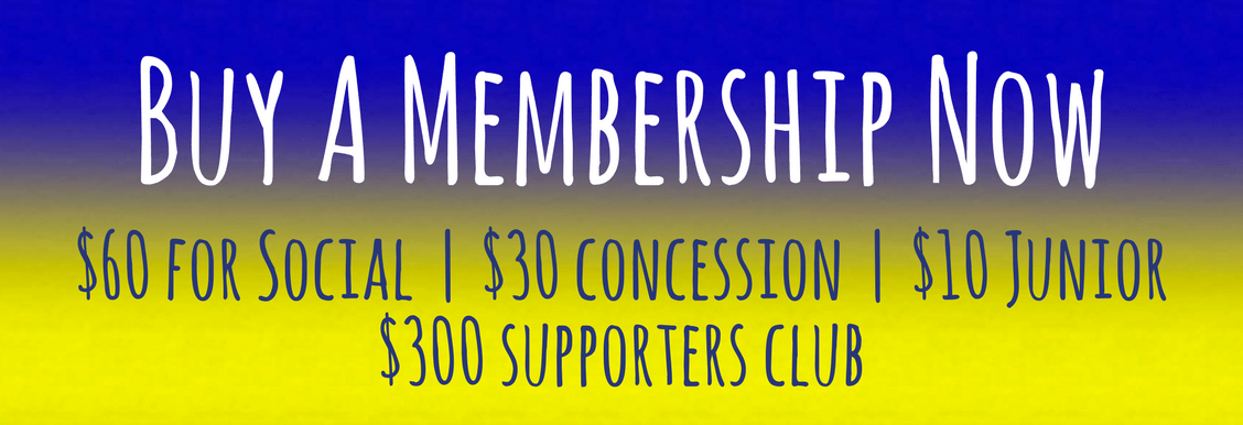 Copy of 1128x386 Mailchimp